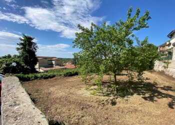 Terreno edificabile Roccamonfina - foto 6