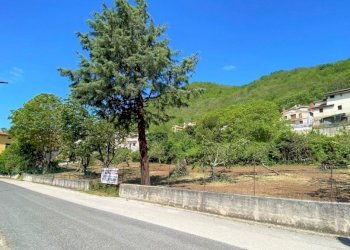 Terreno edificabile Roccamonfina - foto 8