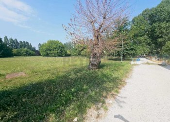 WhatsApp Image 2023-07-12 at 17.07.34 (1).jpeg - Villa Via Villa Angiolina, Cremona - foto 25