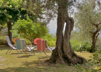 26.jpg - Rustico Massarosa - foto 15