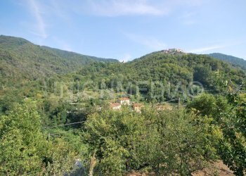 3.jpg - Terratetto - Terracielo Via Annunziata, Luni - foto 3