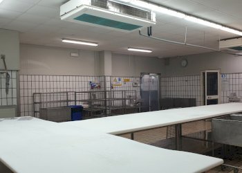 dettagli - Capannone Bolognano - foto 6