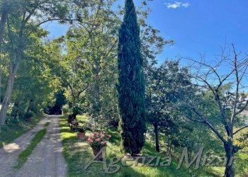 Rustico Imola - foto 13