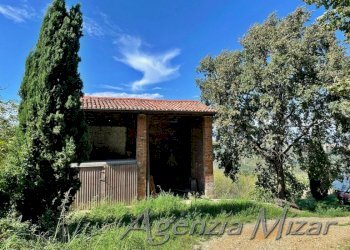 Rustico Imola - foto 9