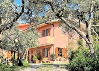 img_3524_48.jpg - Villa via della maestà, Fosdinovo - foto 15