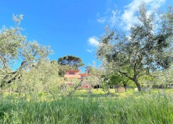 img_3524_52.jpg - Villa via della maestà, Fosdinovo - foto 19