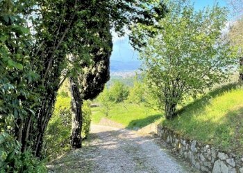 img_3524_55.jpg - Villa via della maestà, Fosdinovo - foto 20