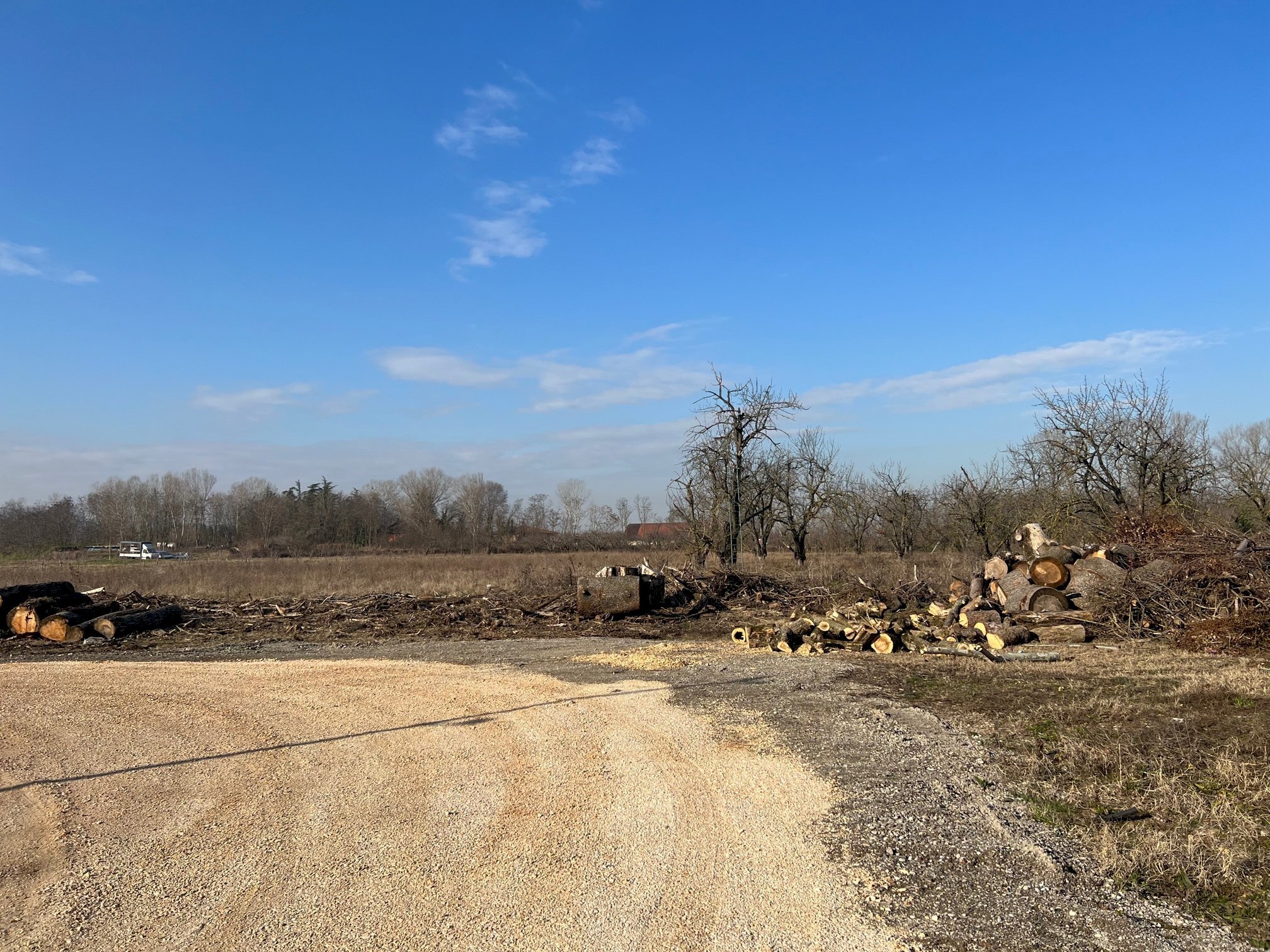 Terreno agricolo via Rigosa, Zola Predosa - foto 3