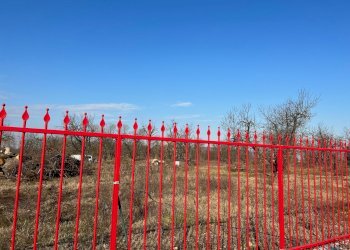 Agricultural land via Rigosa, Zola Predosa - photo 5