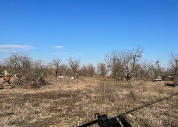 Agricultural land via Rigosa, Zola Predosa - photo 2