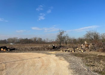 Agricultural land via Rigosa, Zola Predosa - photo 3