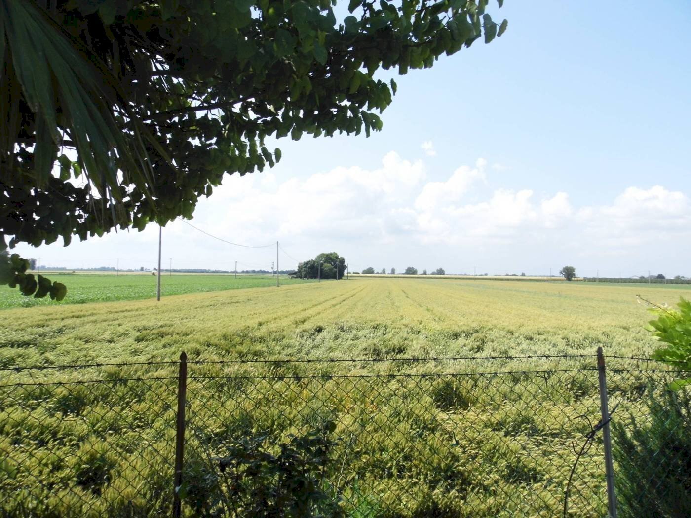 Townhouse Via della Cilla, Ravenna (neighborhood Sant'Alberto) - photo 3