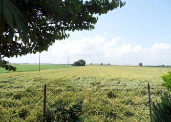 Terratetto - Terracielo Via della Cilla, Ravenna (zona Sant'Alberto) - foto 3