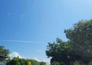 513642811.jpg - Rustico Via San Biagio Platani, Roma - foto 6