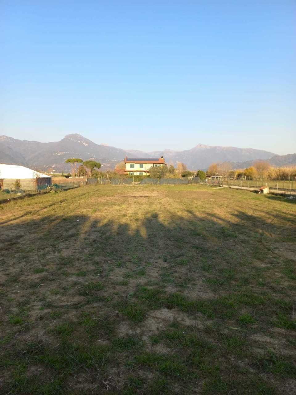 afee1282-e789-49dc-a9a8-6309a3413650.JPG - Agricultural land Pietrasanta - photo 1