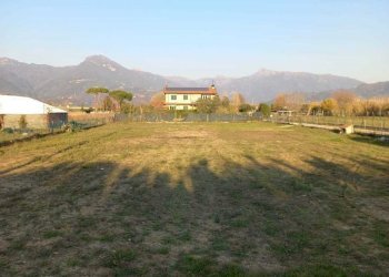 afee1282-e789-49dc-a9a8-6309a3413650.JPG - Terreno agricolo Pietrasanta - foto 1