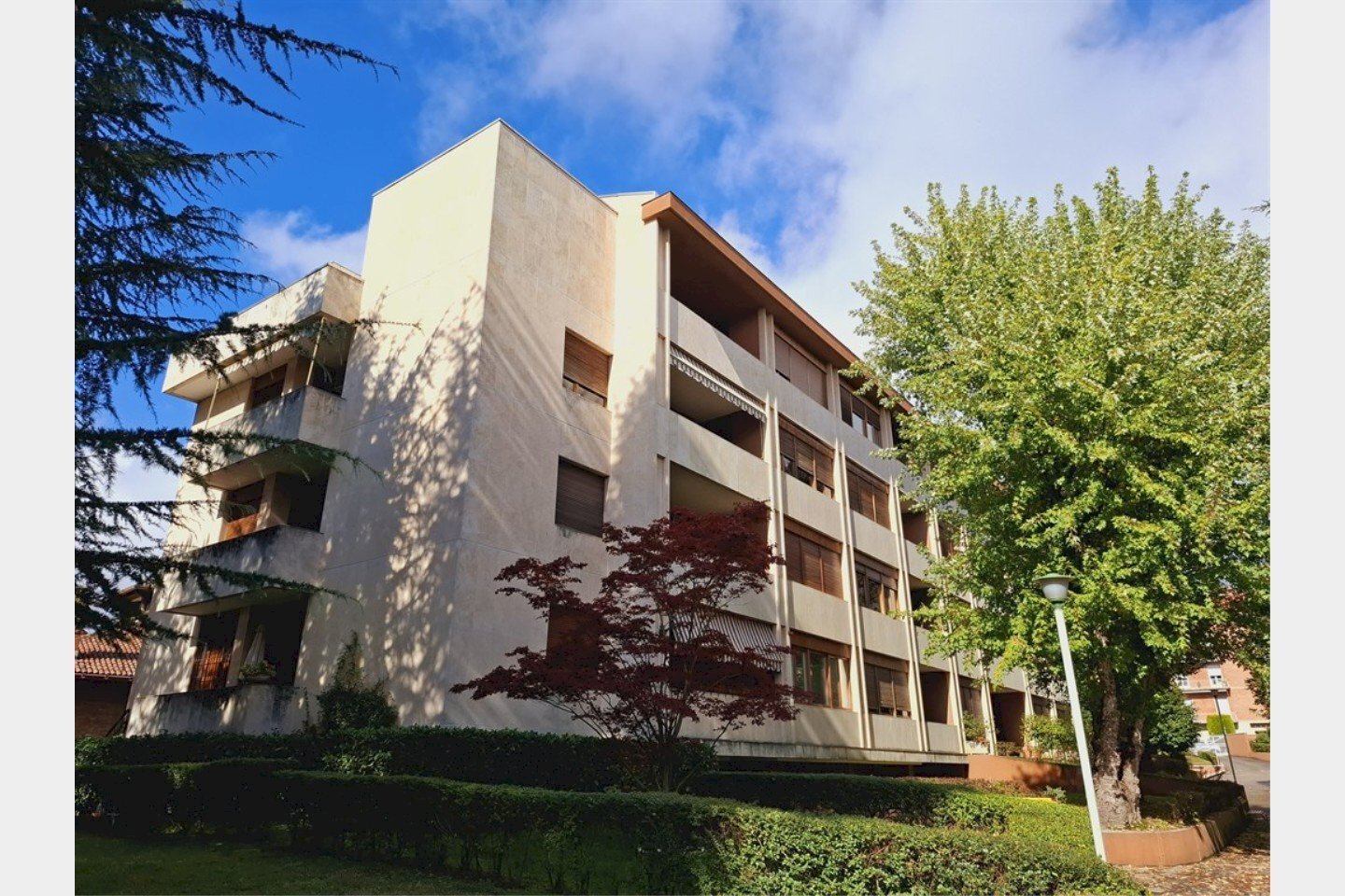 Trilocale Asti - foto 1