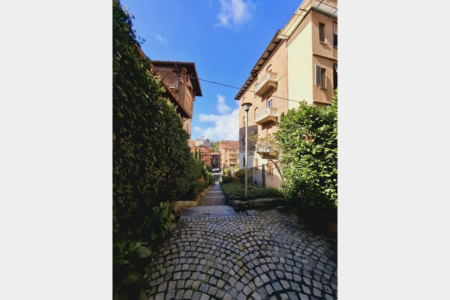 Trilocale Asti - foto 3