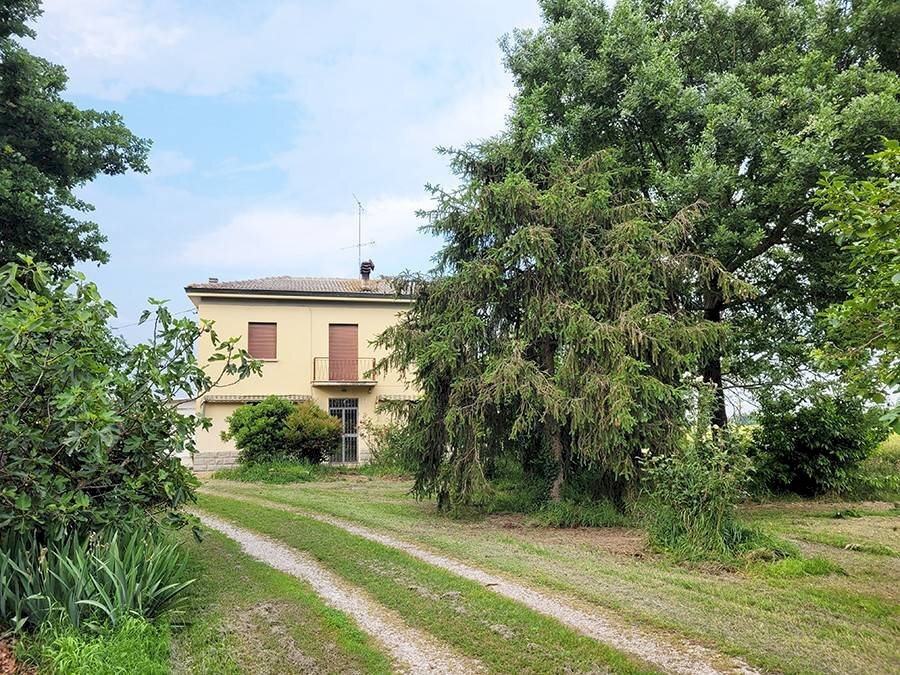 Terreno - Villa Minerbio - foto 3