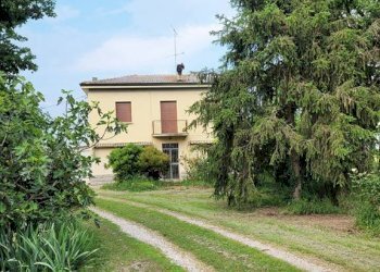 Terreno - Villa Minerbio - photo 4