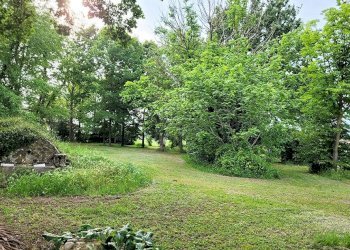 Terreno - Villa Minerbio - photo 17