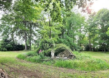 Terreno - Villa Minerbio - photo 18