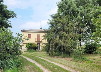 Terreno - Villa Minerbio - photo 3