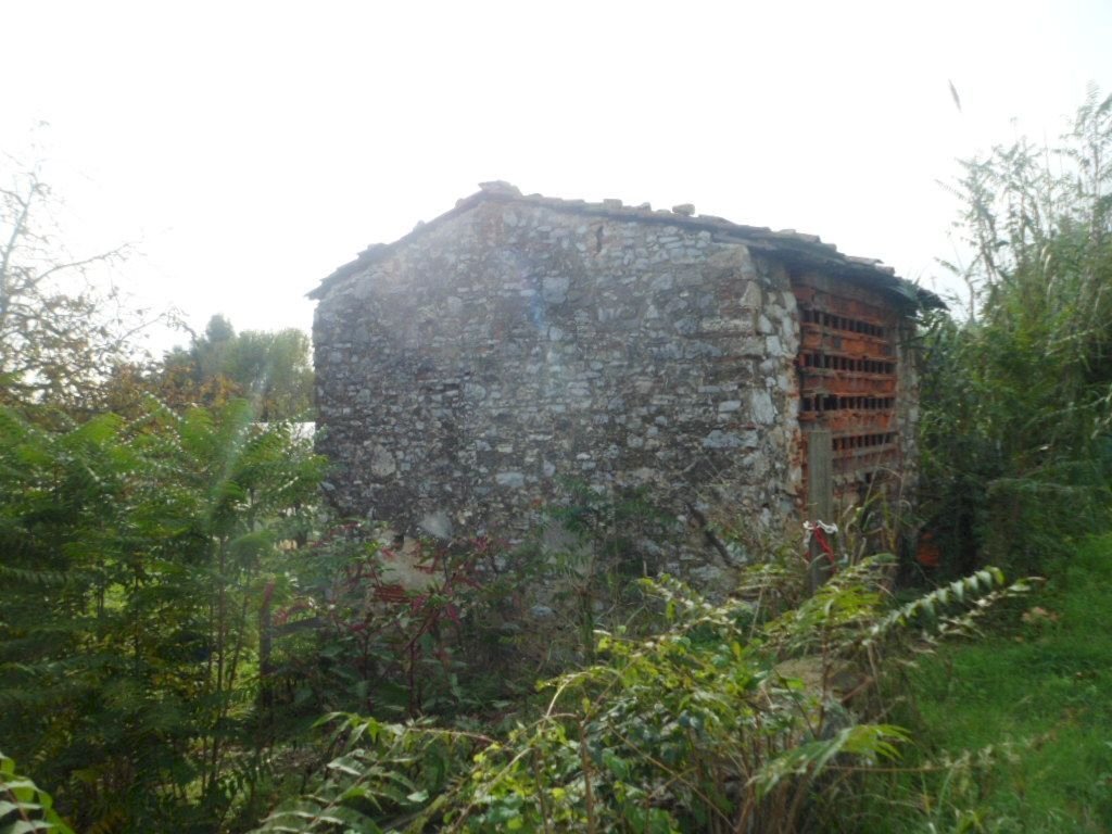 SAM_1679.JPG - Rustico Massarosa - foto 2