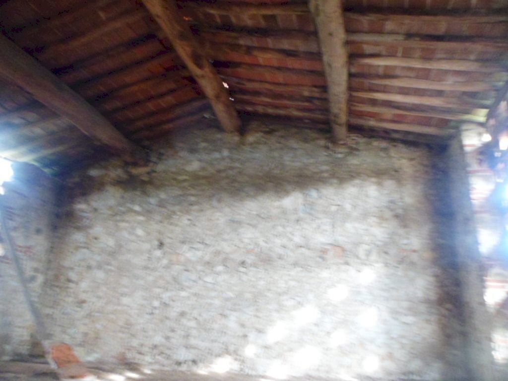 SAM_1672.JPG - Rustico Massarosa - foto 3