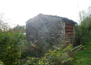 SAM_1679.JPG - Rustico Massarosa - foto 2