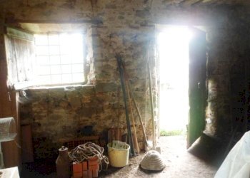 SAM_1676.JPG - Rustico Massarosa - foto 7