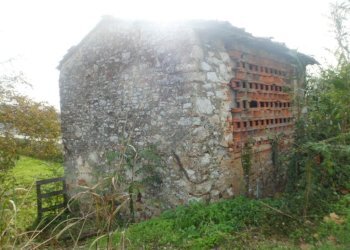 SAM_1678.JPG - Rustico Massarosa - foto 8