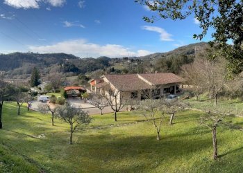 WhatsApp Image 2023-03-02 at 17.59.25.jpeg - Villa Sarzana - foto 5