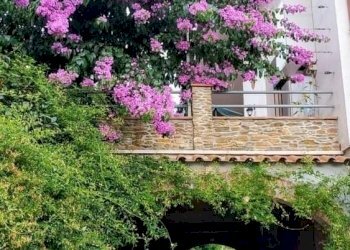 485123.jpeg - Villa Montignoso - foto 23