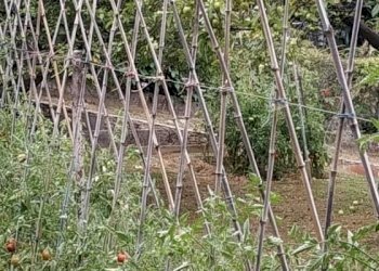 485121.jpeg - Villa Montignoso - foto 25