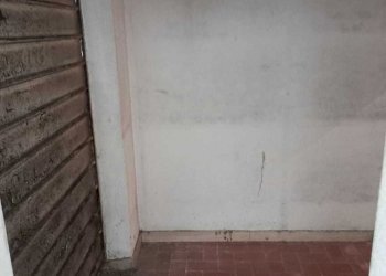 PHOTO-2023-03-02-18-36-15.jpg - Locale Commerciale Pietrasanta - foto 2