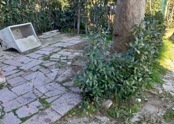 PHOTO-2023-03-02-18-36-35 2.jpg - Locale Commerciale Pietrasanta - foto 12