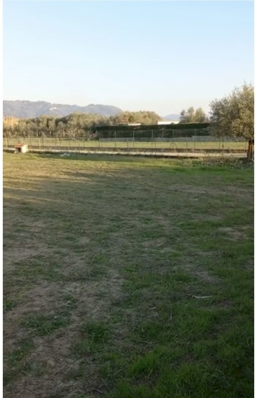 IMG_5579 2.jpg - Terreno agricolo Pietrasanta - foto 1