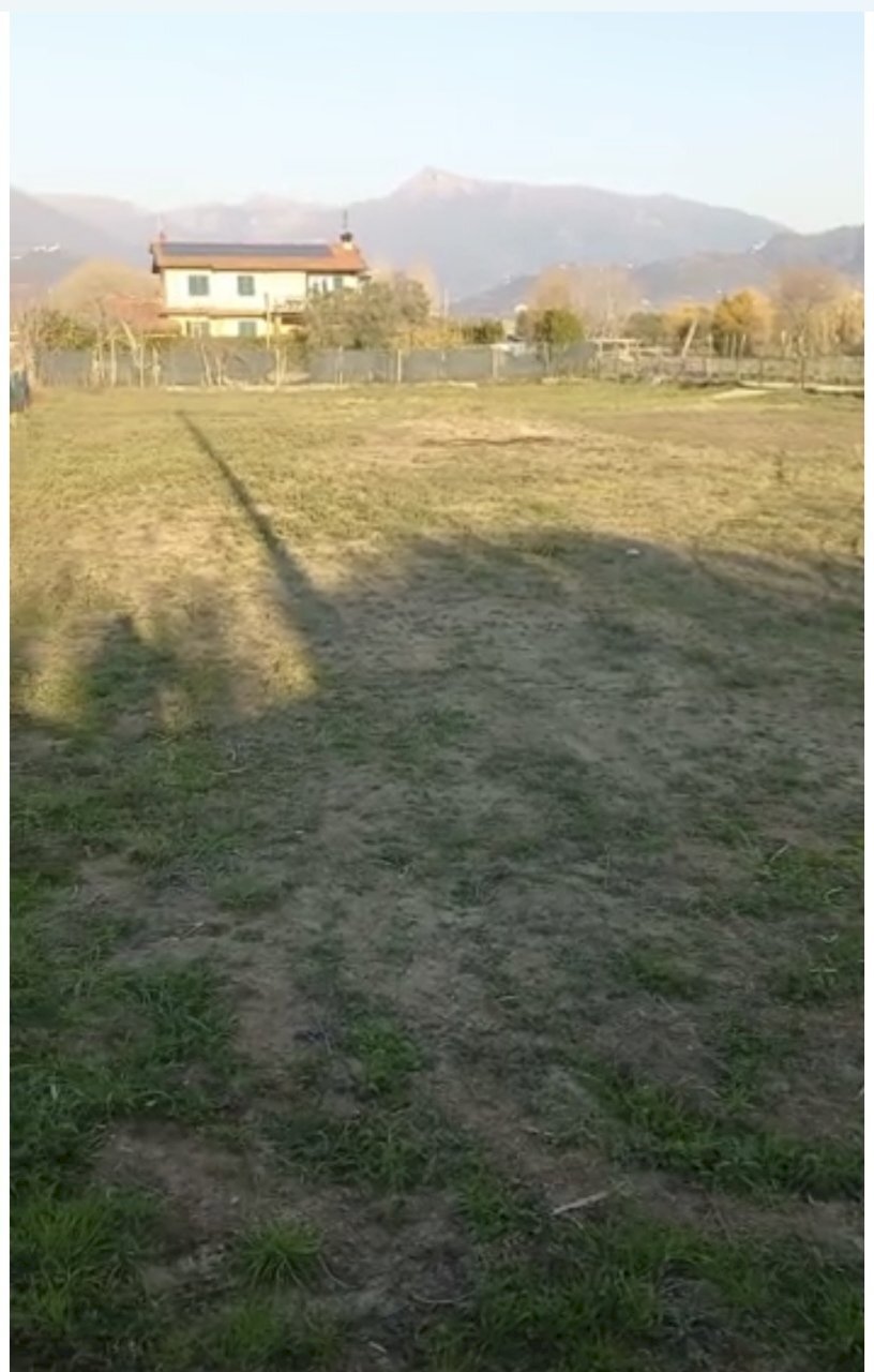 IMG_5580 2.jpg - Terreno agricolo Pietrasanta - foto 2