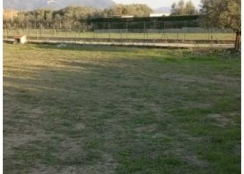 IMG_5579 2.jpg - Terreno agricolo Pietrasanta - foto 1