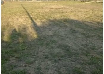 IMG_5580 2.jpg - Terreno agricolo Pietrasanta - foto 2