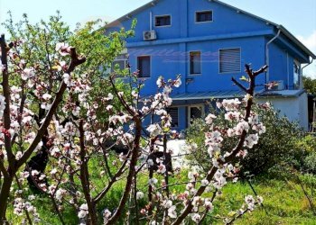 287556f0-eb4b-4a54-8b0a-5e616f2f6529.jpeg - Villa Via Brancati, Melilli - foto 16