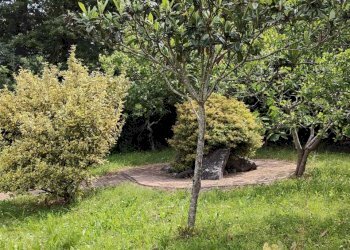 IMG-20230608-WA0037.jpg - Villa Aulla - foto 8