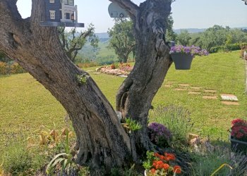 Casa indipendente Monteprandone - foto 11