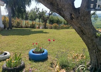 Casa indipendente Monteprandone - foto 12