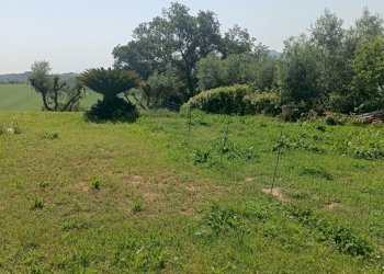 Casa indipendente Monteprandone - foto 21