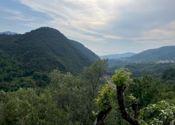 WhatsApp Image 2023-05-23 at 18.00.35 (2).jpeg - Villa Via Carotole 7, Castiglione Chiavarese - foto 15