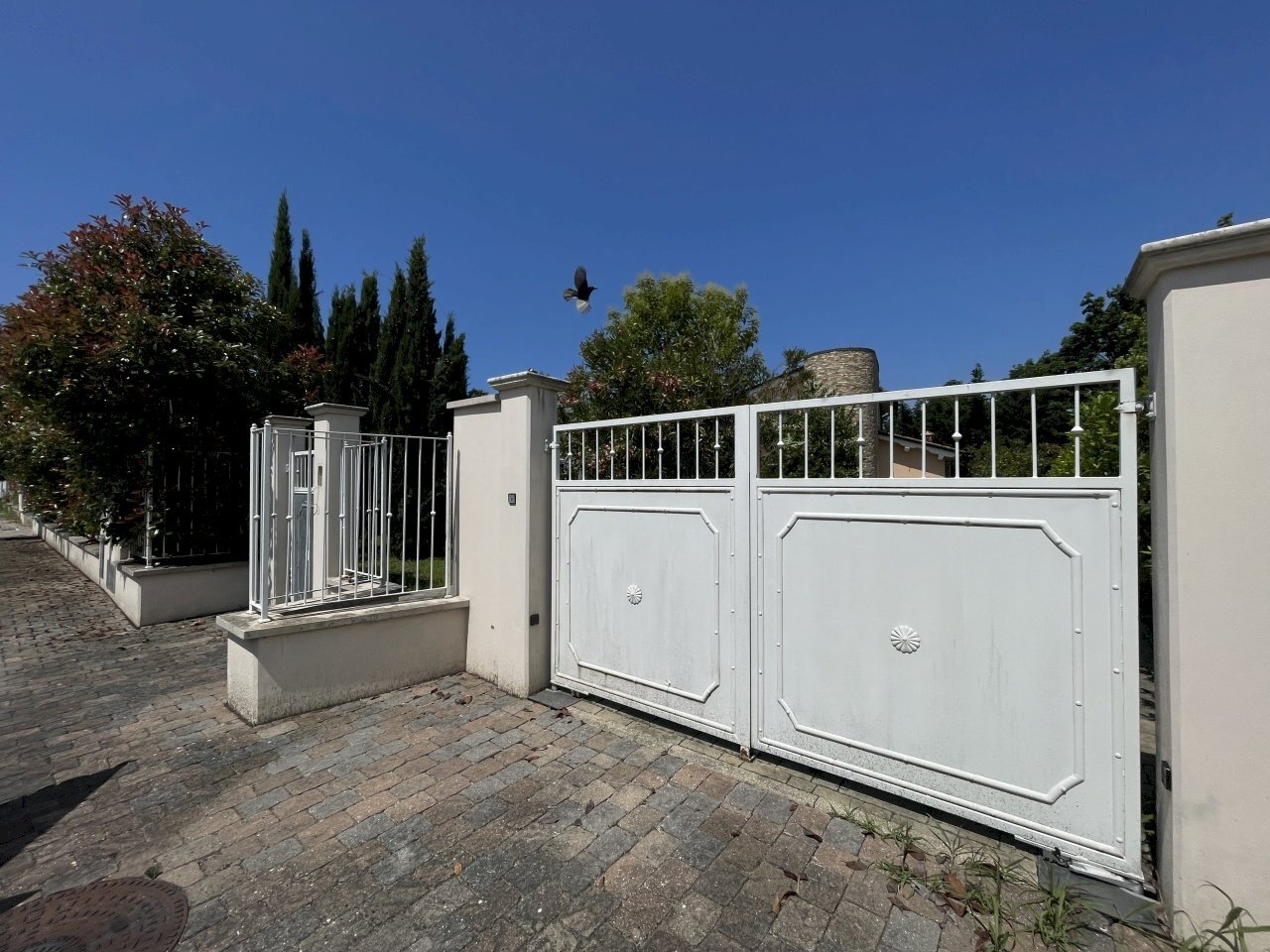 IMG_5329.JPG - Villa Pietrasanta - foto 2