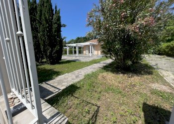 IMG_5331.JPG - Villa Pietrasanta - foto 4