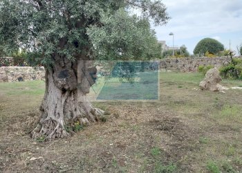 Villa Traversa Sinerchia, Siracusa - foto 16